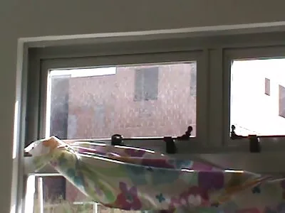 Riley Reid servindo o pau de Keiran vídeo pornô mulher fazendo sexo com cavalo com grande prazer