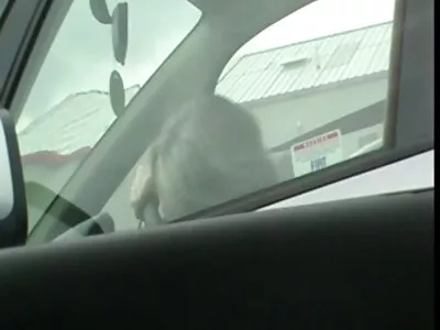 Mandy Muse é recompensada vídeo de pornô mulher transando com cavalo com porra fresca depois de uma foda dura