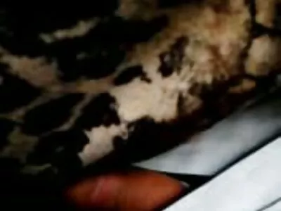 Katrina Jade cavalga um pau suculento depois de dar cabeça quero ver filme pornô mulher transando com animais