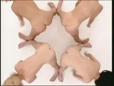 Loiras gostosas Lilly Lit e Cadence Lux se dando prazer na filme pornô homem transando com animal cama