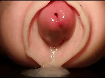 Vídeo vídeo de pornô mulher transando com cachorro