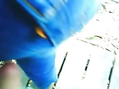 Lena quero ver vídeo de pornô transando Anderson magrinha e pálida sendo fodida apropriadamente na cama